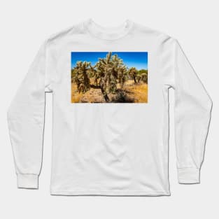 Cholla Cactus along the Apache Trail Long Sleeve T-Shirt